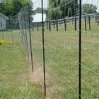 Electric Fence and Netting for Deer - Premier1Supplies