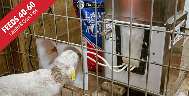 Automatic goat pellet outlet feeder