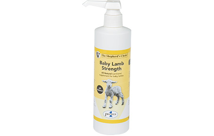 Baby Lamb Strength