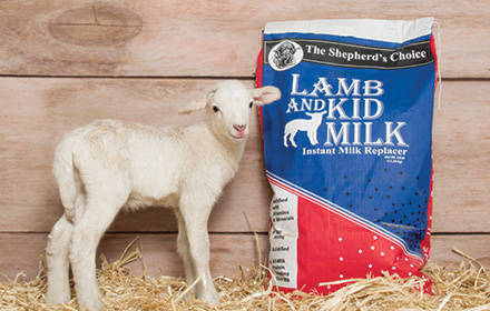 Shepherd’s Choice™ Lamb & Kid Milk