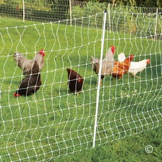 Electric Fence And Netting For Poultry Premier1supplies