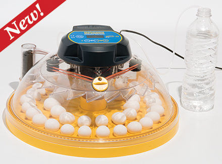 Egg Incubator