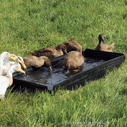 Bucket Nipple Waterer