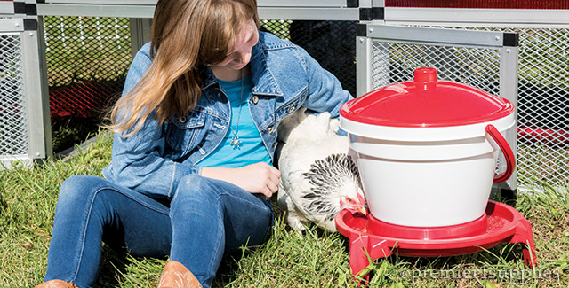 Poultry Waterers