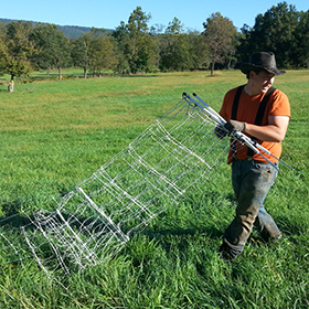 Getting Started with Pastured Pigs