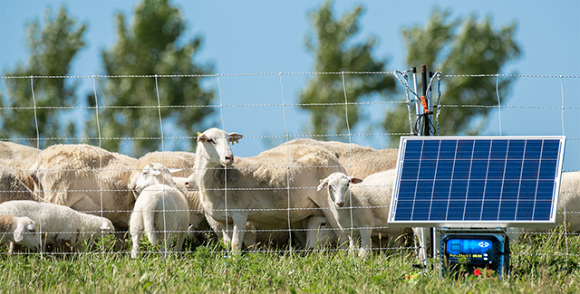 Electric Fence Energizers—The Basics