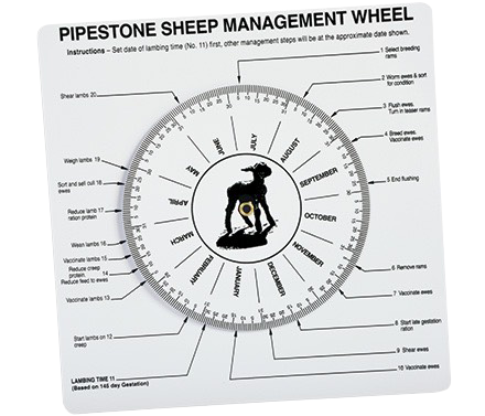 Sheep Management Wheel