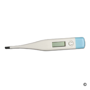 Digital Thermometer - Premier1Supplies