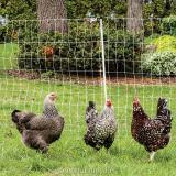 PoultryNet® And PoultryNet® Plus 12/48/3 Electric Netting For Poultry ...