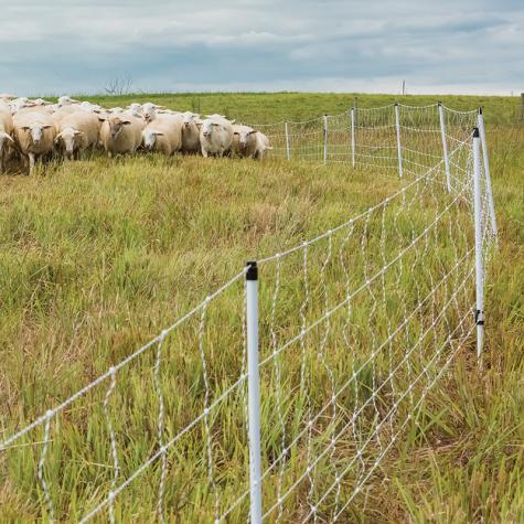 Sheep QuikFence® 6/35/24 for Sheep - Premier1Supplies