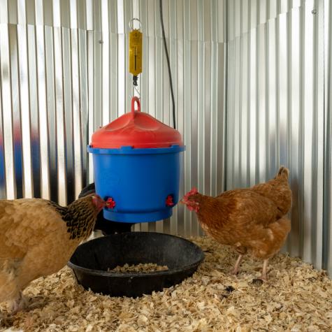 Heated Poultry Waterer Kit - Premier1Supplies