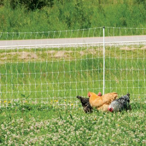 PoultryNet® 12/48/3 Electric Netting - Premier1Supplies