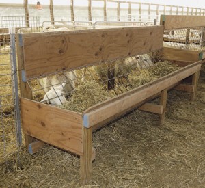 Build Your Own Feeders - Premier1Supplies Sheep Guide