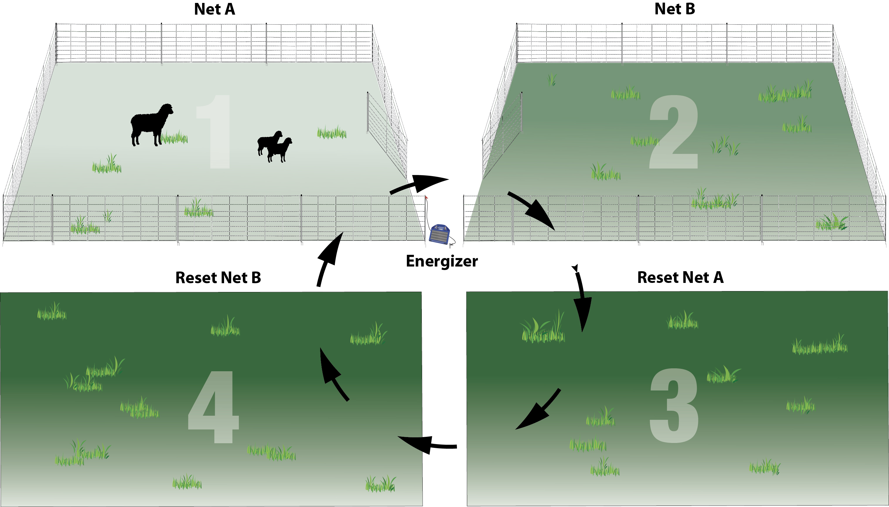 Practical Pasture Configurations For Rotational Grazing 