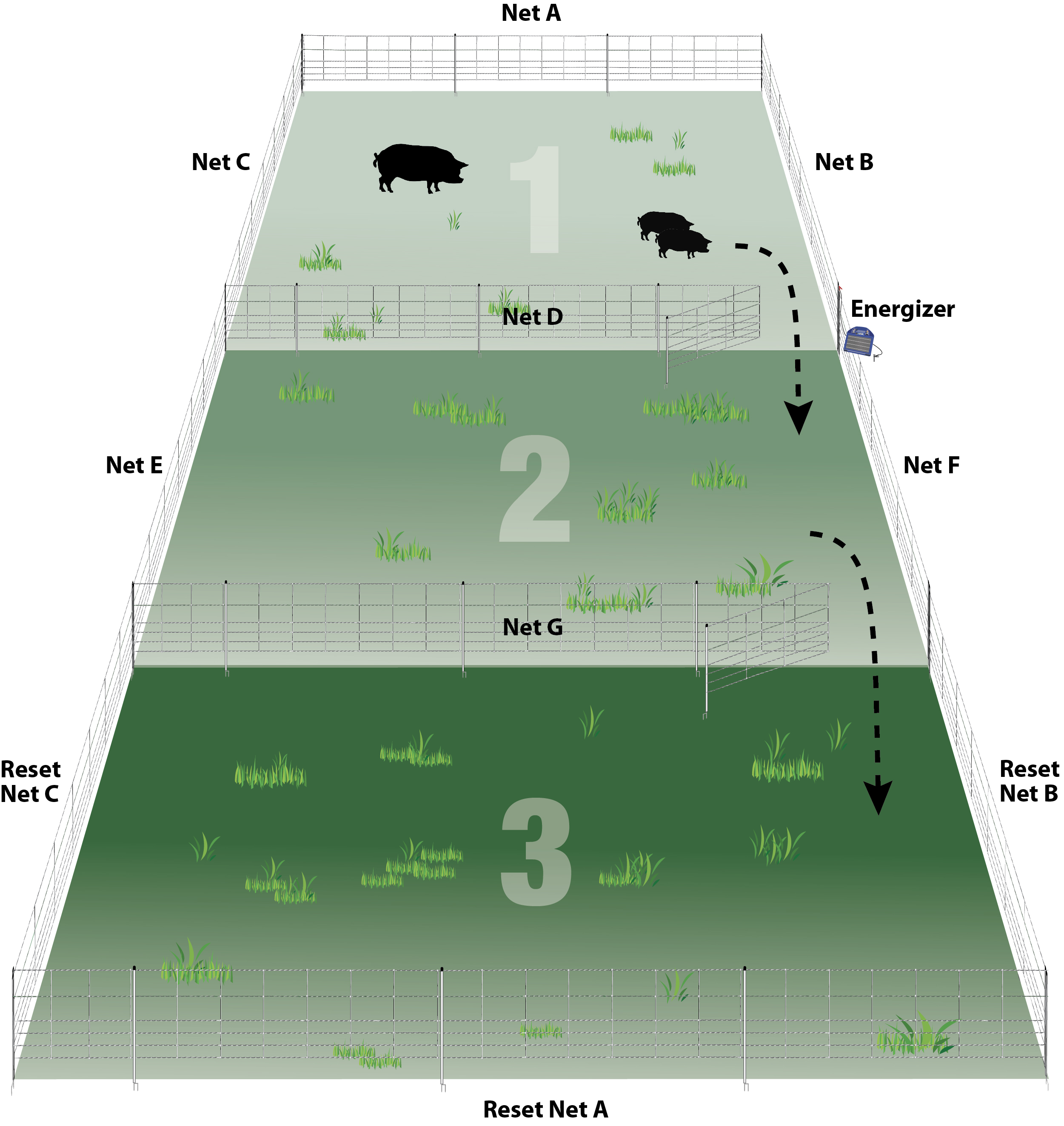 Practical Pasture Configurations For Rotational Grazing 